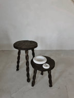 THE ARIES DISH