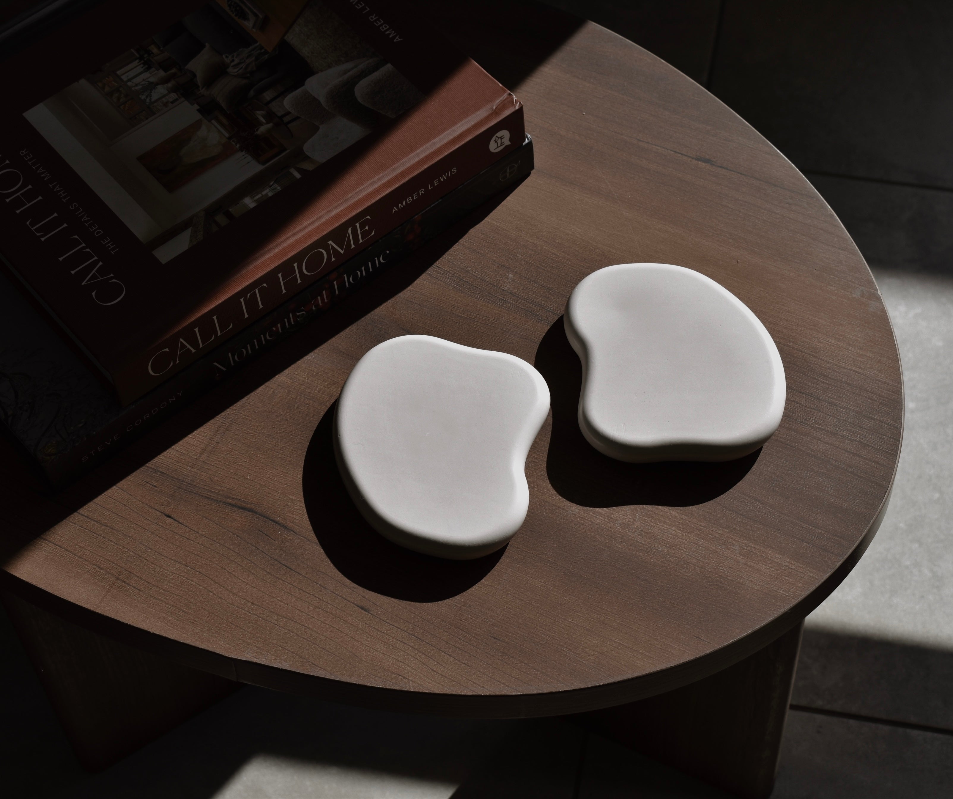 THE REN COASTER